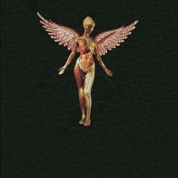 Meet your Posher, Deacon - Picture 7 of 7